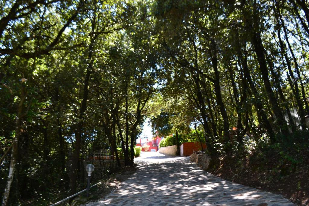 B&B Spring Perugia Bagian luar foto