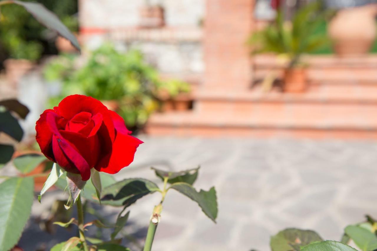 B&B Spring Perugia Bagian luar foto
