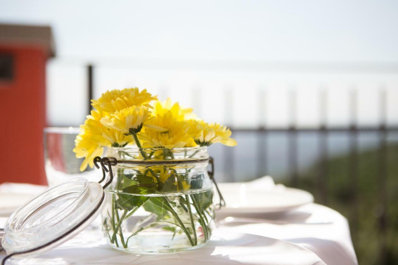 B&B Spring Perugia Bagian luar foto